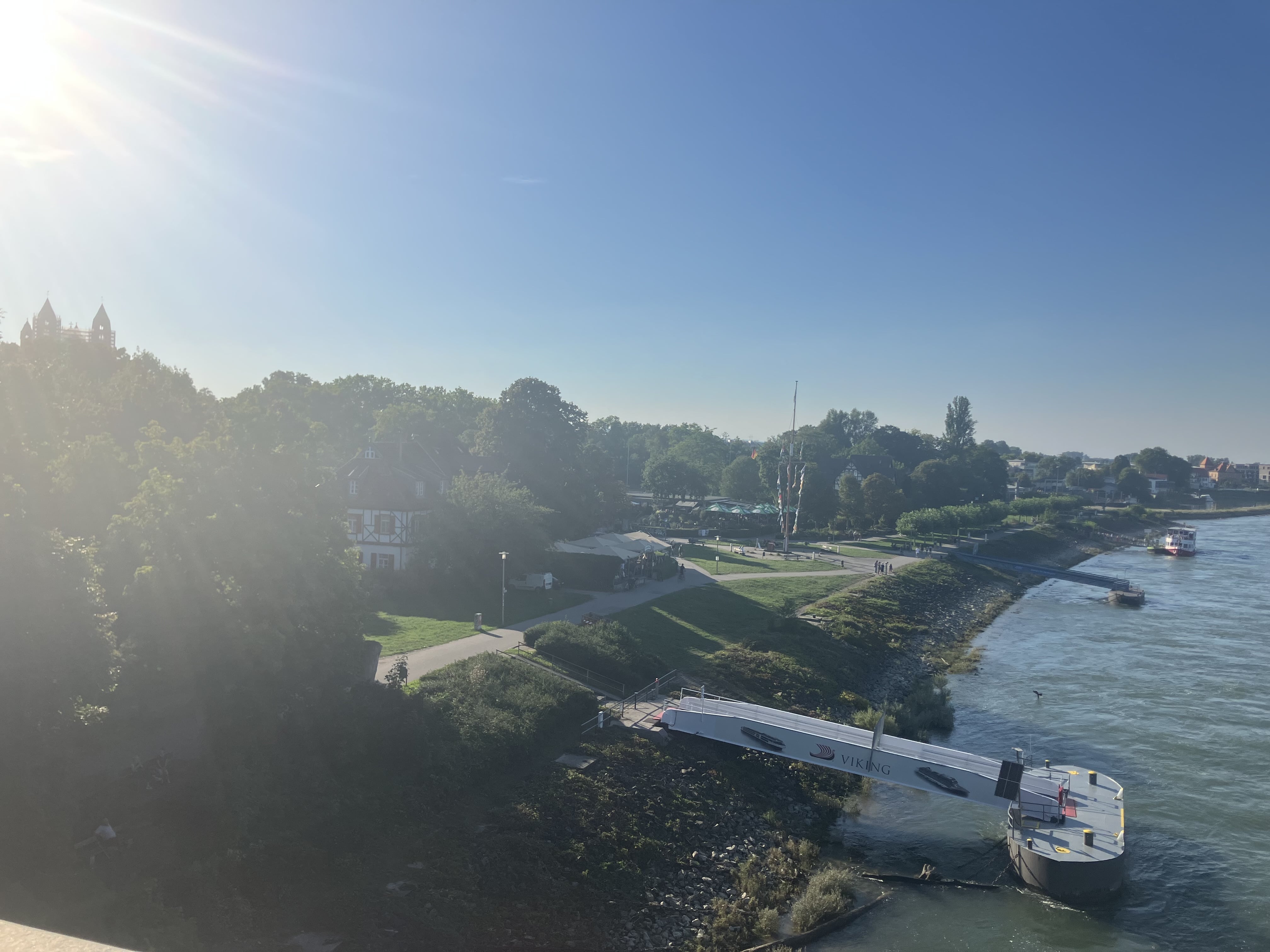 Rhine riverbank near Speyer