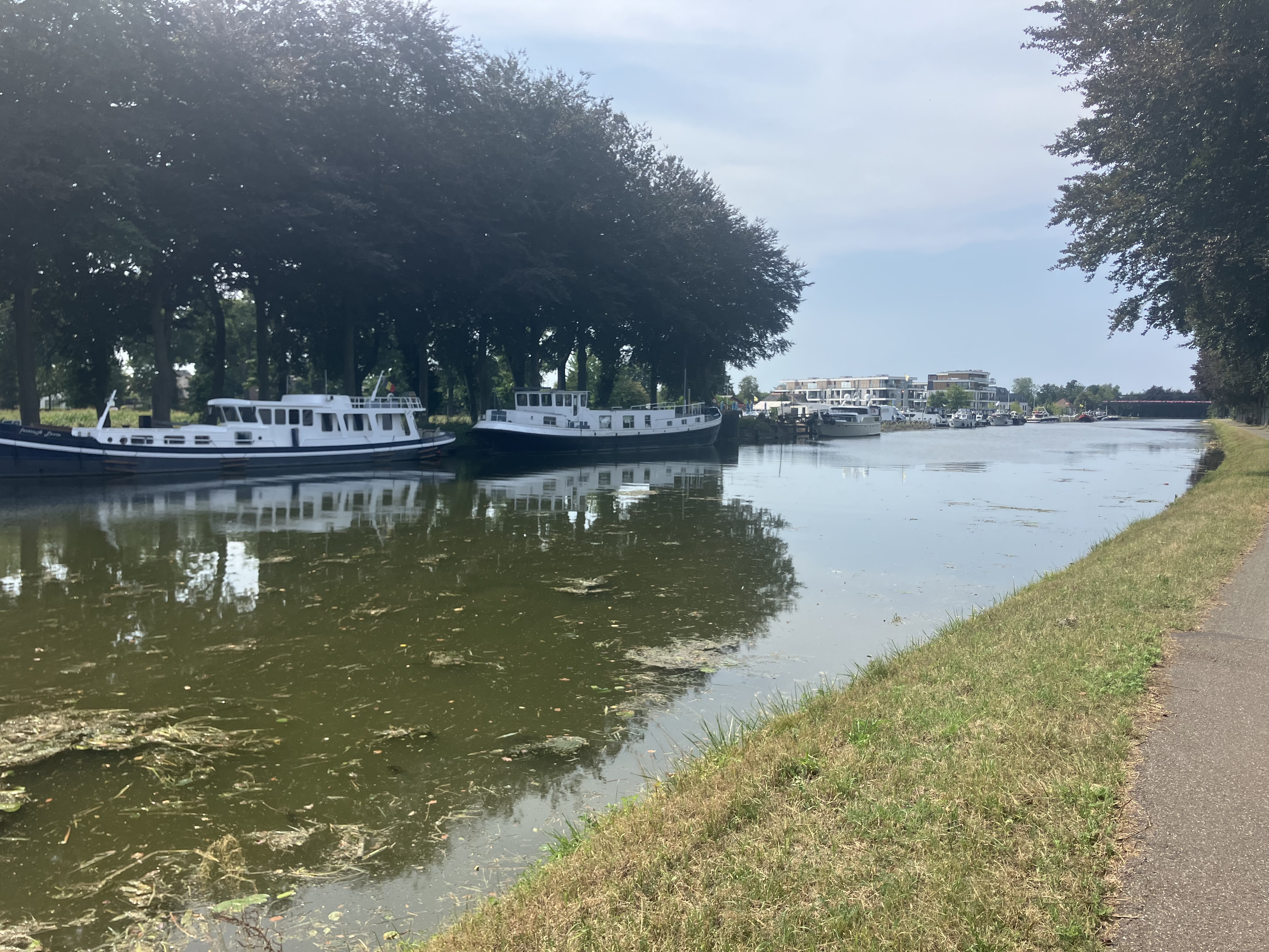 Zuid-Willemsvaart canal
