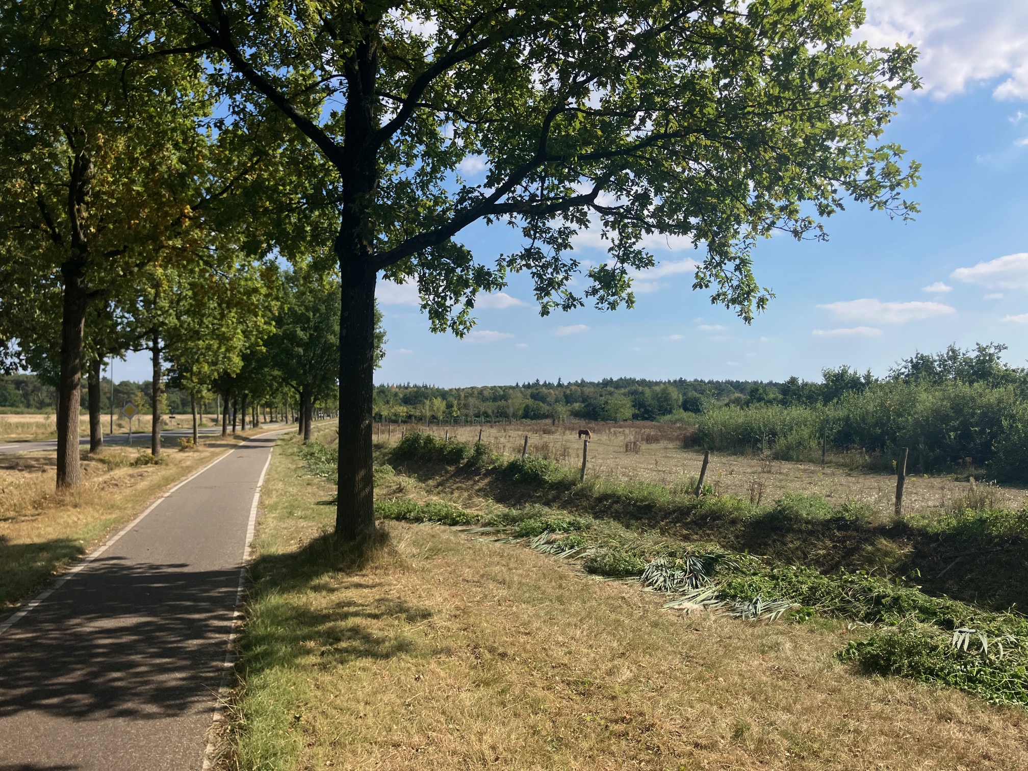 Bergen op Zoom to Kapellen