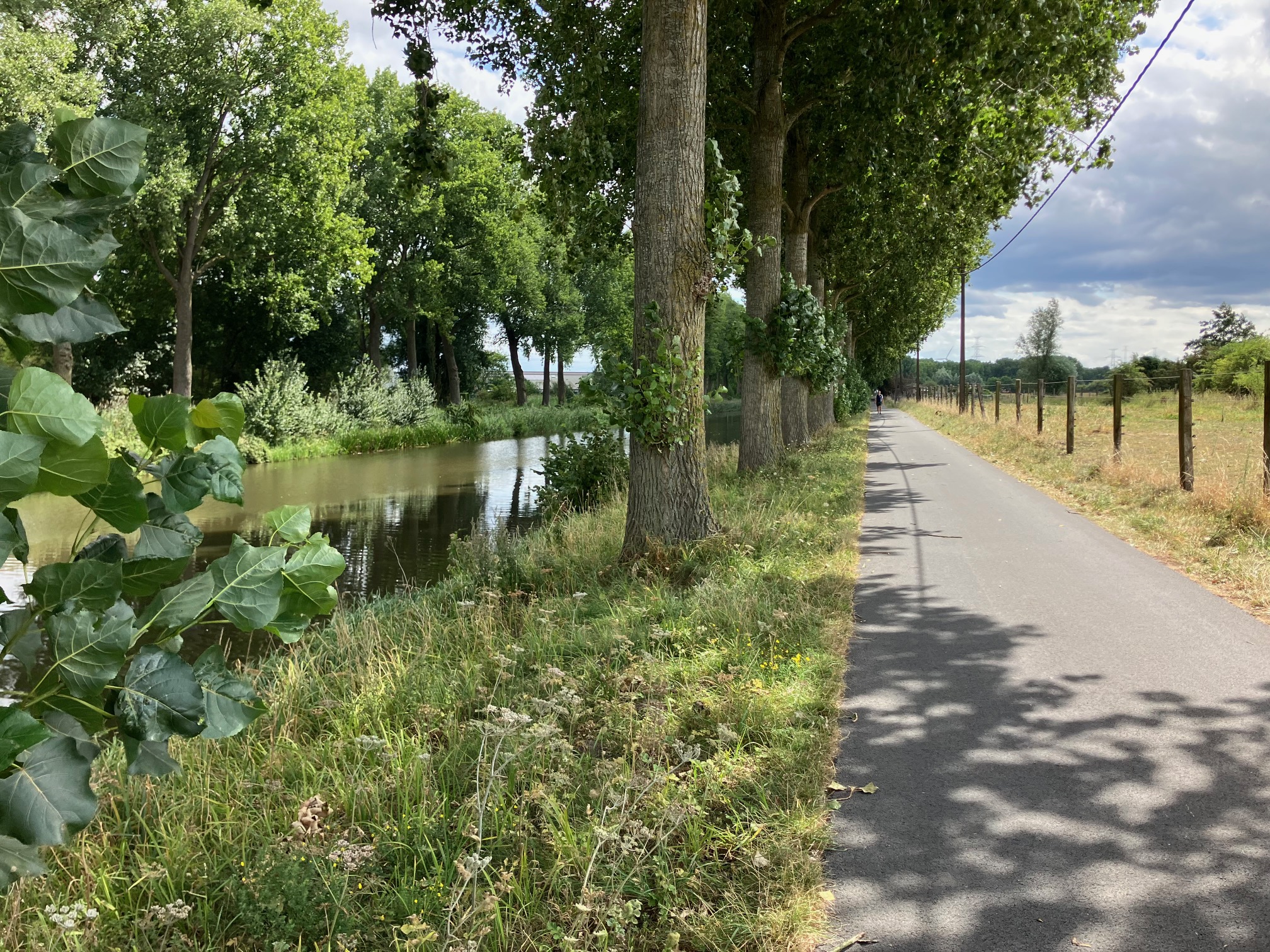 Branch canal of the Leie