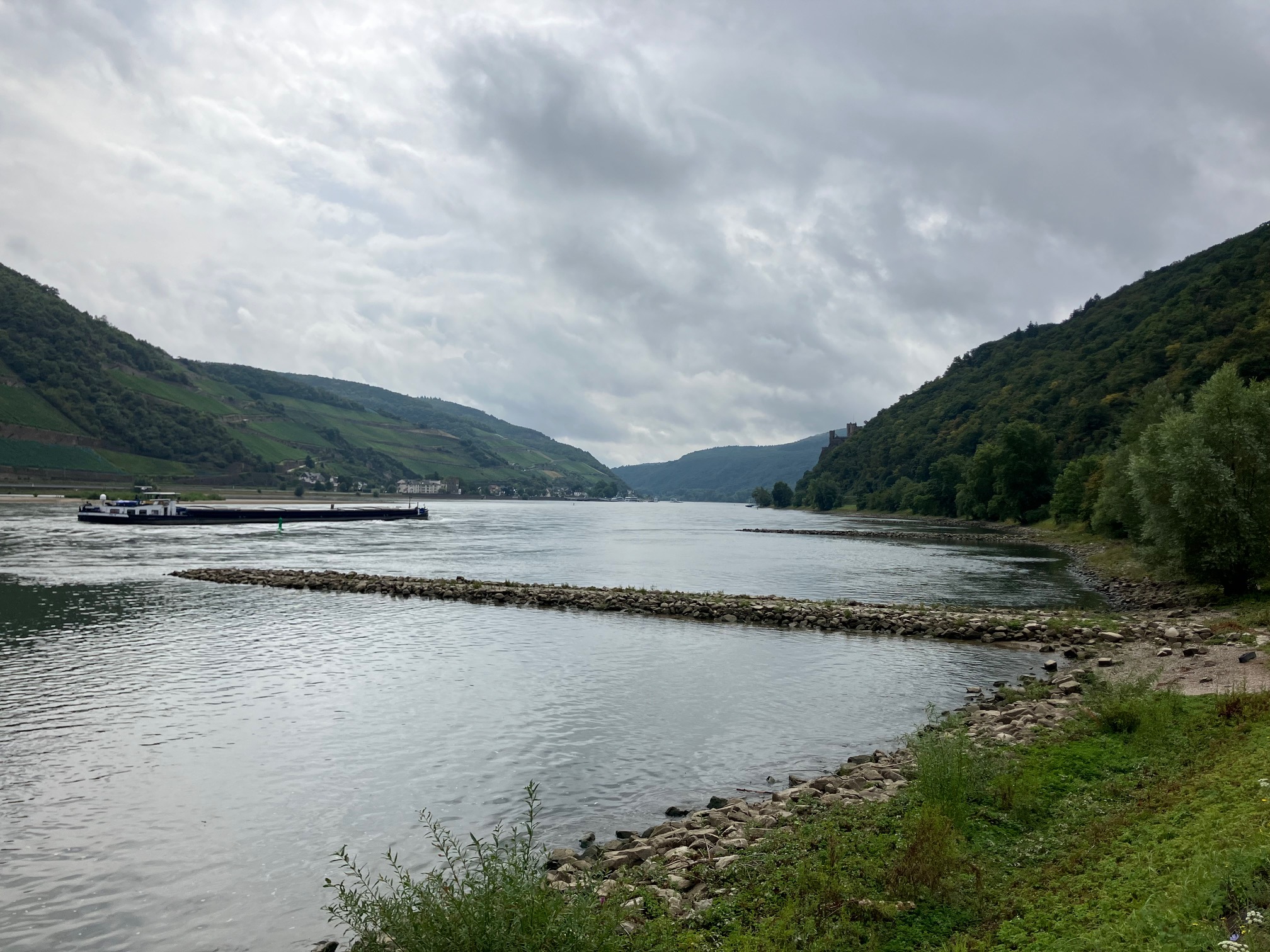 Rhine panorama