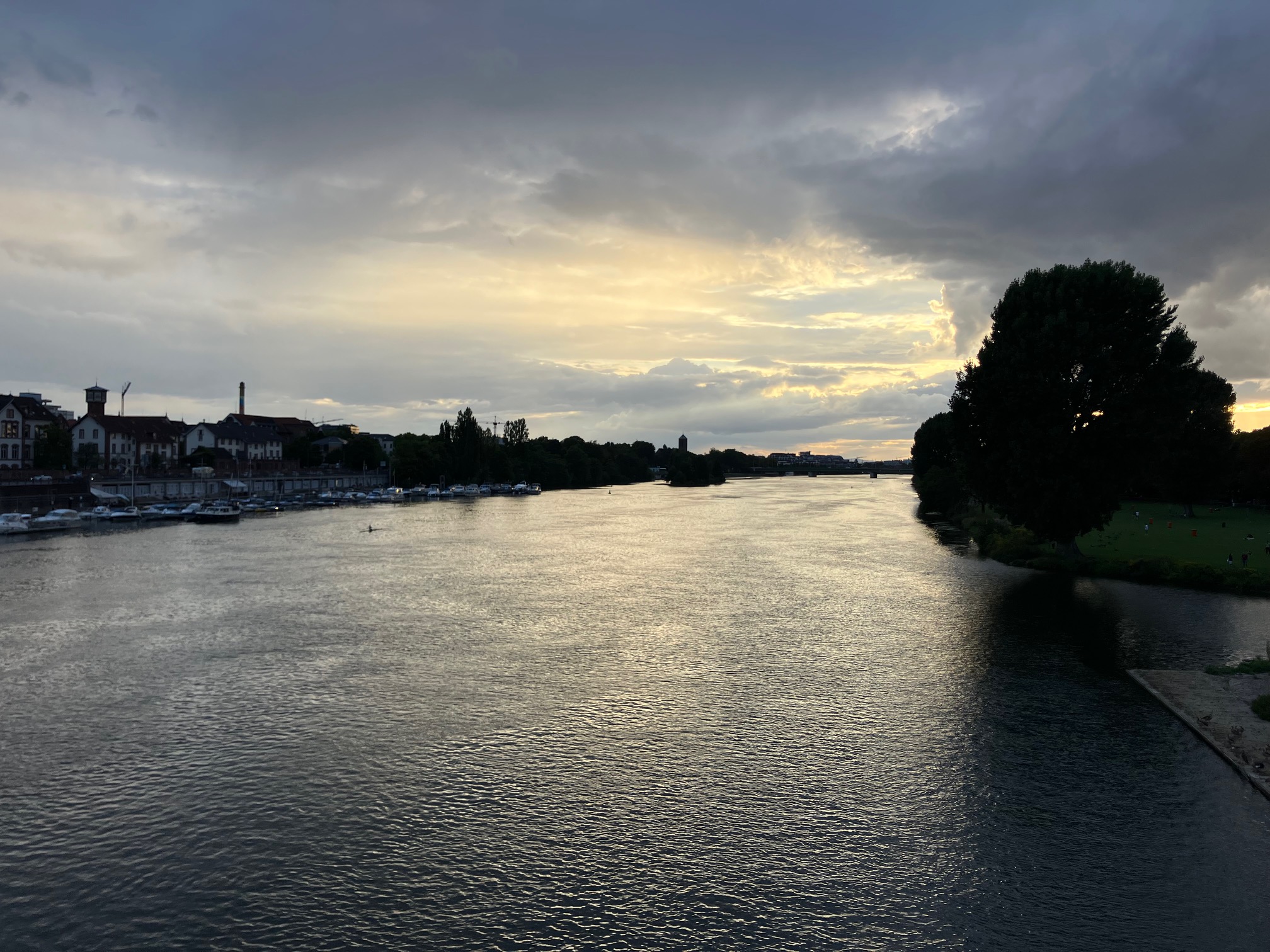 Neckar view